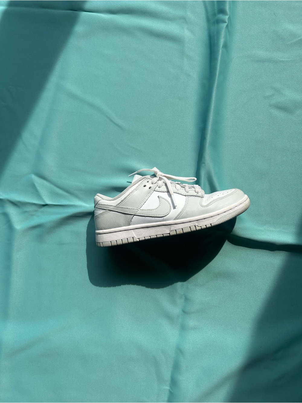 Nike Womens Dunks